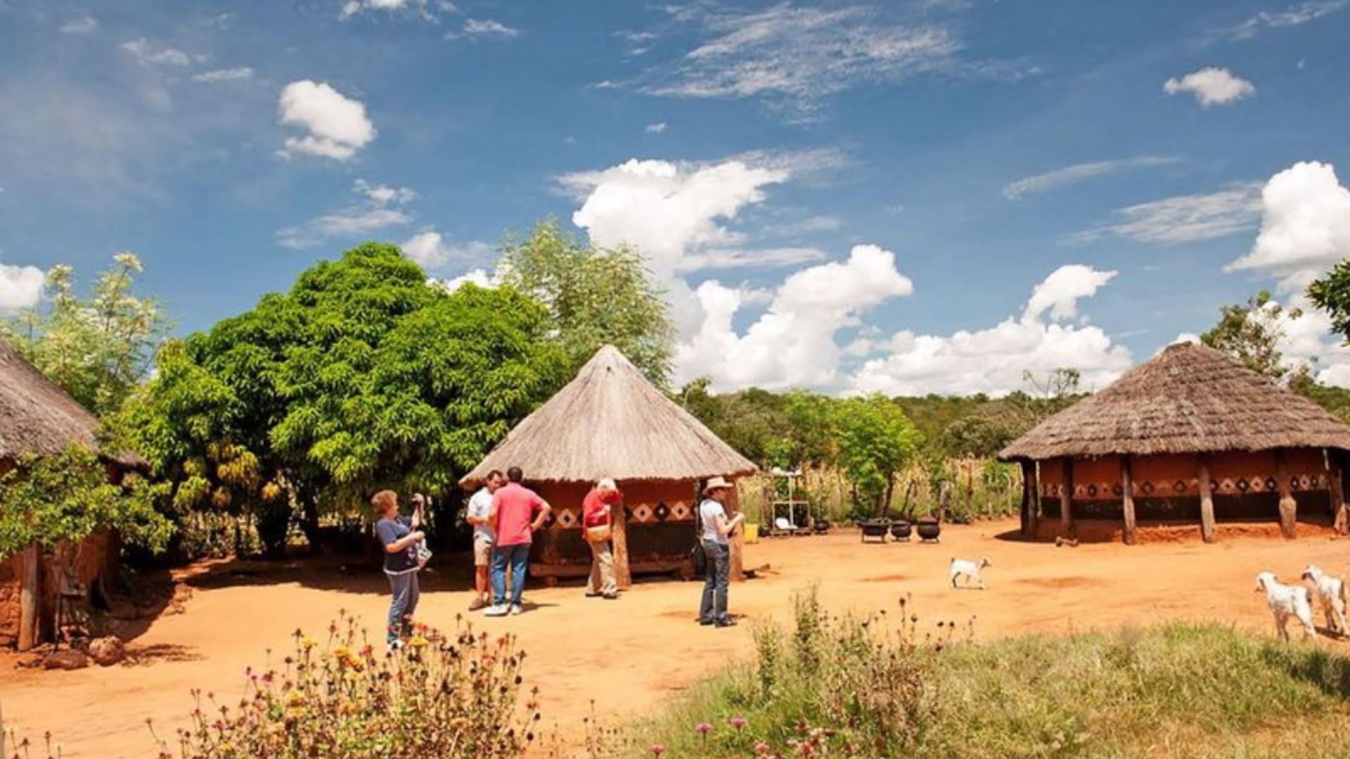 Cultural Tours