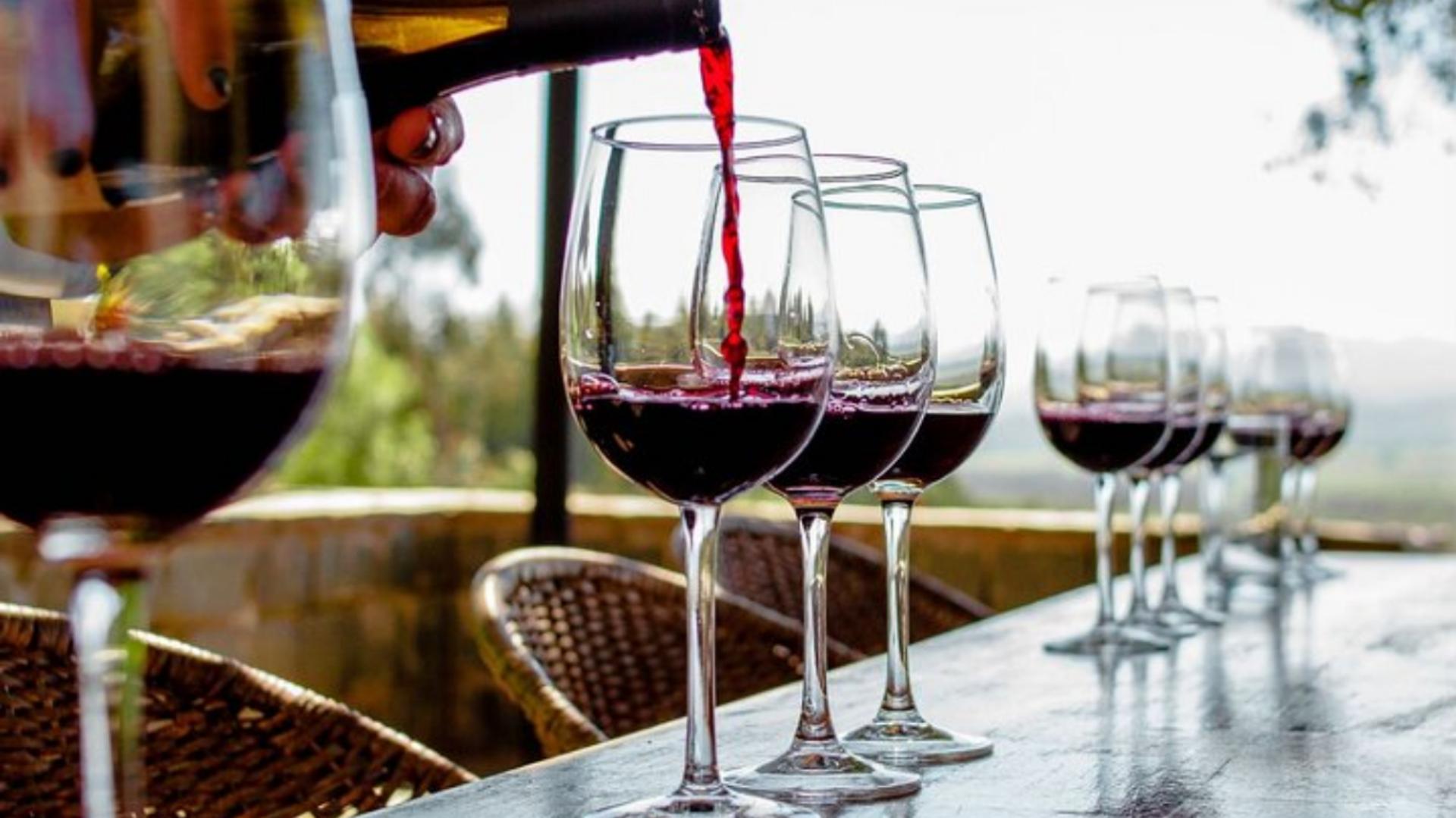 Wine Tours